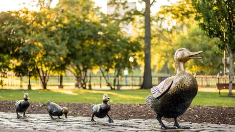 A statue of a duck from the story "Make Way for Ducklings" with her ducklings walking behind her in the Boston Public Garden