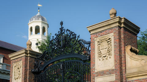 Brick and iron gates against a blue sky