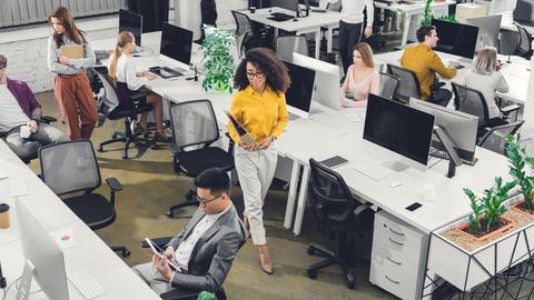 People work at computers in an office