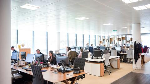 People work at computer desks arranged in a sunny room inside an office
