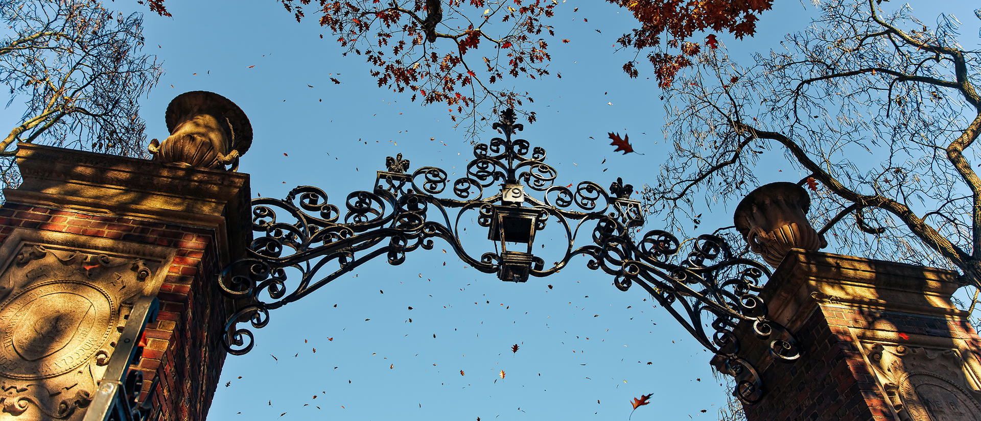Autumn leaves fall on one of the iron gated entrances to Harvard Yard
